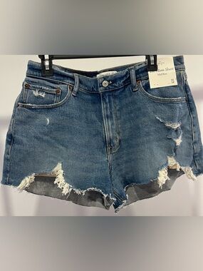 Abercrombie & Fitch The Mom Short Mid Rise NWT Size 31/12